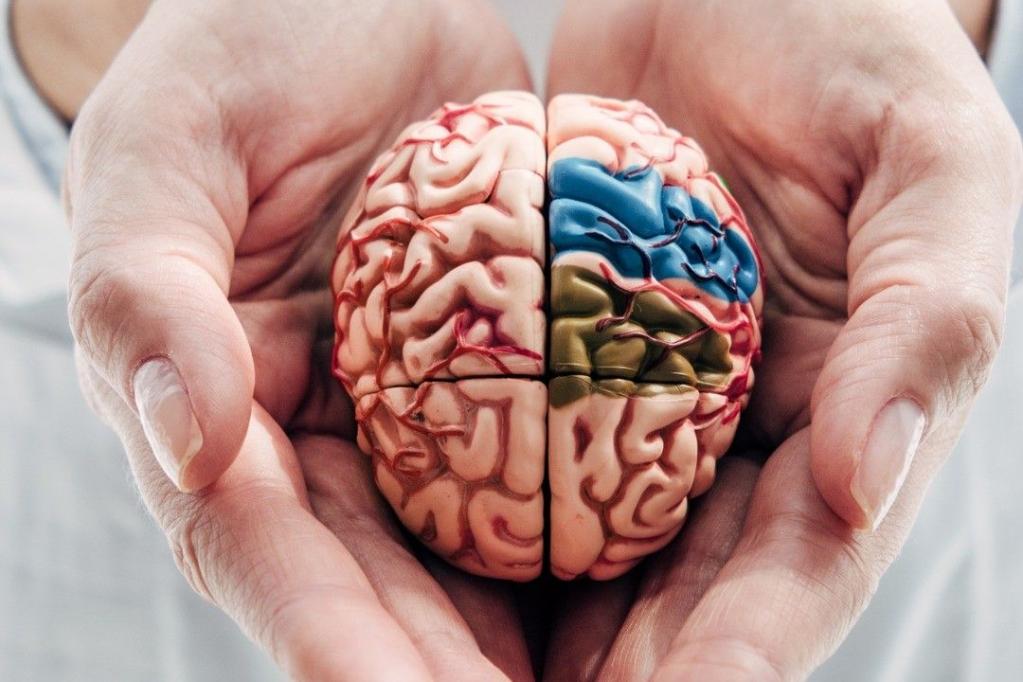 The Brain - Part IV.: J.-P. Barral